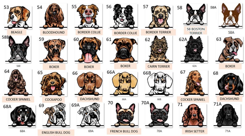 Peut inclure: Un tableau de diff&eacute;rentes races de chiens, chacune avec une illustration de la t&ecirc;te du chien en dessin anim&eacute;. Le tableau est &eacute;tiquet&eacute; avec le nom de la race et un num&eacute;ro.