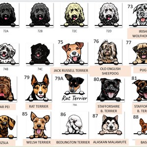 Peut inclure: Un tableau illustrant diff&eacute;rentes races de chiens. Chaque race de chien est &eacute;tiquet&eacute;e avec son nom et un num&eacute;ro. Le tableau est organis&eacute; en lignes et en colonnes.