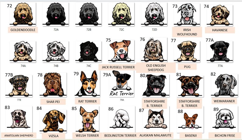 Peut inclure: Un tableau illustrant diff&eacute;rentes races de chiens. Chaque race de chien est &eacute;tiquet&eacute;e avec son nom et un num&eacute;ro. Le tableau est organis&eacute; en lignes et en colonnes.