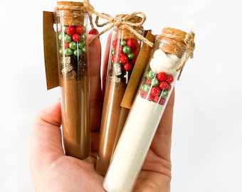 Personalized Hot Chocolate Favors: Glass Tube Christmas Cocoa, Holidays Party Favors, Employee Holidays Favors, Co-worker Christmas Favors