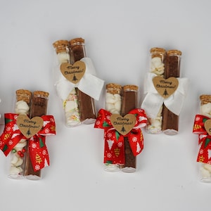 May include: Six glass test tubes filled with white and brown ingredients, tied together with red and white ribbon and a brown heart-shaped tag that says "Merry Christmas!"