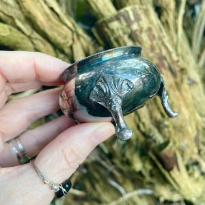 May include: A small, polished silver-toned metal bowl with a rounded body and a smooth, reflective surface. The bowl features three distinct, ornate feet with a textured, leaf-like design that elevates the vessel from its base.