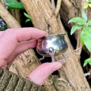 May include: A small, antique silver-coloured bowl with three delicate feet and a scalloped rim. The bowl has a rounded body and a shiny, reflective surface. The bowl is held in a hand against a blurred background of tree bark and green foliage.