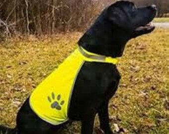high vis dog coat