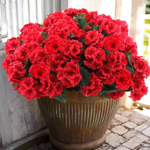 Artificial Geranium Flowers for Outdoors – 5 Bundles Red Faux Plants, UV Resistant Fake Outdoor Bushes for Porch, Garden, Patio Decor