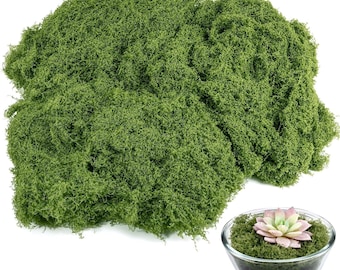 Künstliches Moos 50g - Realistisches dekoratives grünes Moos für DIY-Handwerk, Terrarien, Feengärten und Wohnkultur