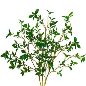 Artificial Tenuifolia Ficus Branch – Lifelike Faux Greenery for Floral Arrangements, Home Decor, and Events (26&quot; or 42&quot;)