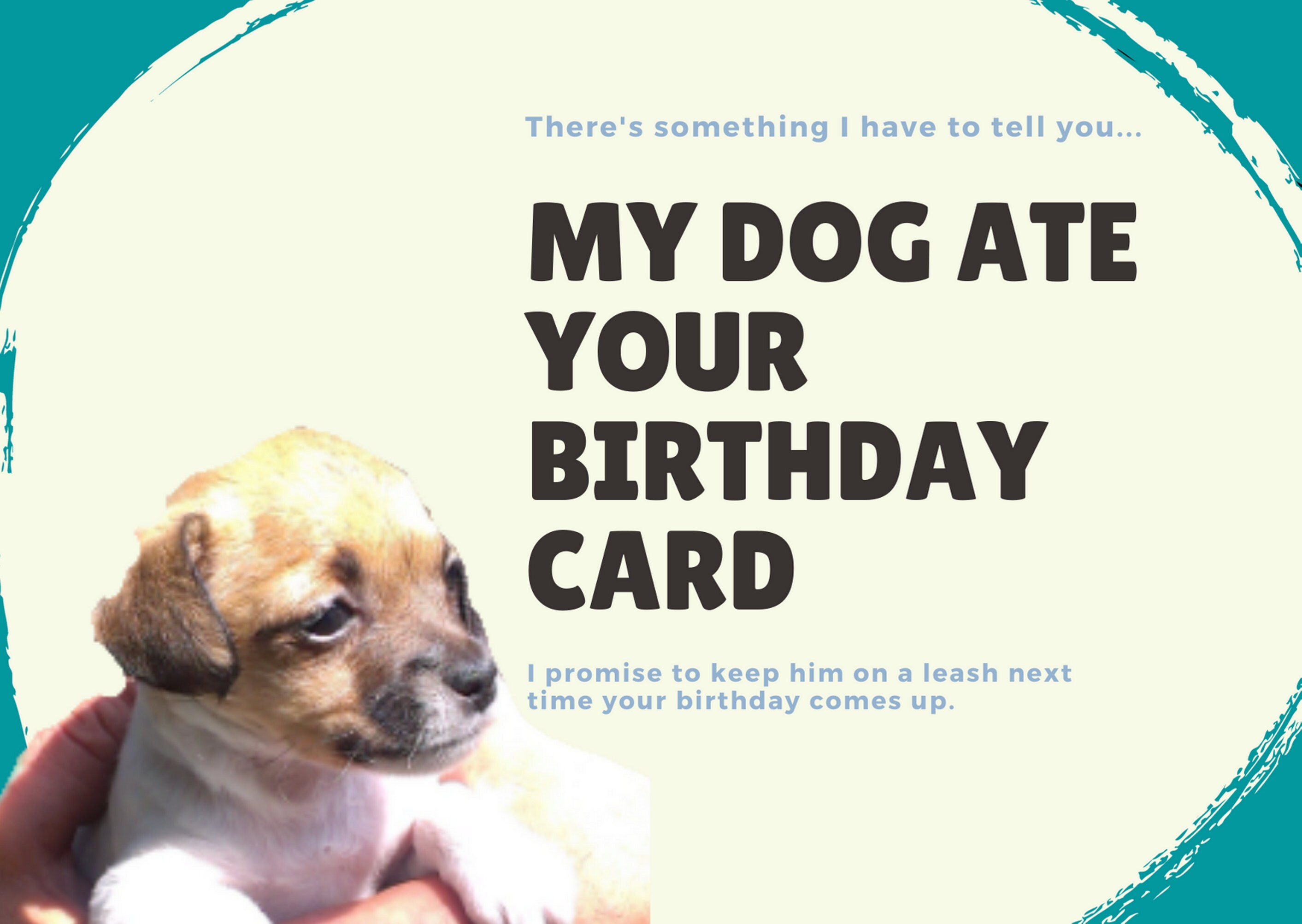 What Can Dogs Eat For Their Birthday