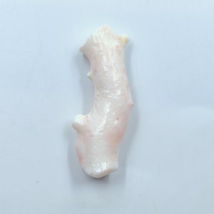 May include: A white coral branch with a pink hue. The coral has a rough, textured surface and a unique, irregular shape.