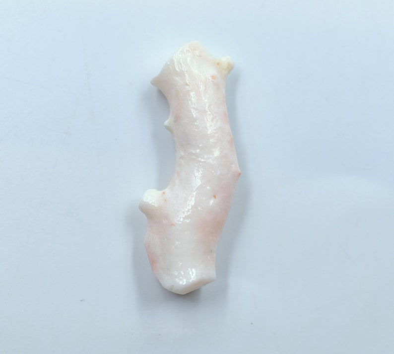 May include: A white coral branch with a pink hue. The coral has a rough, textured surface and a unique, irregular shape.