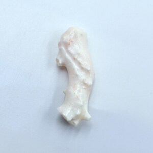 May include: A white coral branch with a pink hue. The coral has a unique, organic shape and texture.