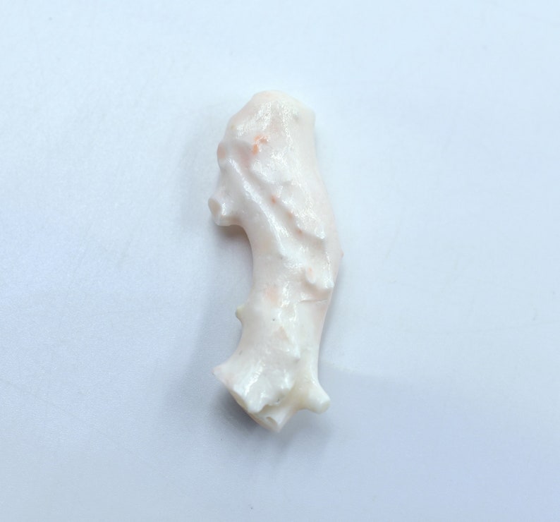May include: A white coral branch with a pink hue. The coral has a unique, organic shape and texture.