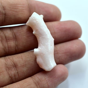 May include: A small, white coral branch with a natural, organic shape. The coral is smooth and polished, with a delicate pink hue.