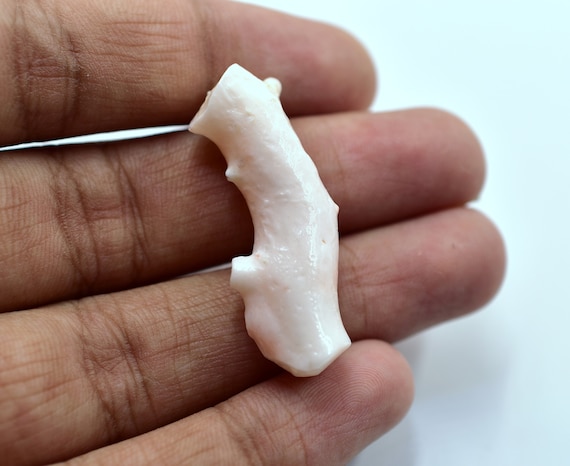 Natural Japani White Coral Branch Hand Polished Natural Japanese White Coral Branch loose, Precious Coral, Genuine Coral Natural Coral