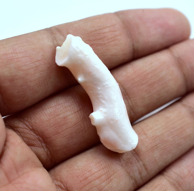 May include: A white coral branch with a pink hue. The coral is smooth and has a natural, organic shape.