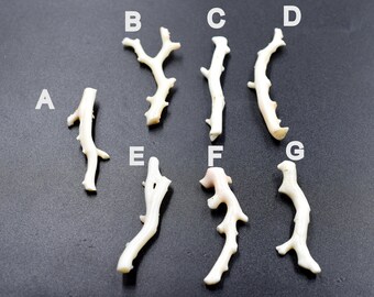 Natural Japani White Coral Branch Hand Polished Natural White Coral Branch loose, White Color Precious Coral, Genuine Coral Price per piece