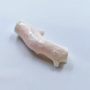 May include: A pale pink coral branch with a smooth, polished surface. The coral has a natural, organic shape and is a beautiful example of this type of marine life.