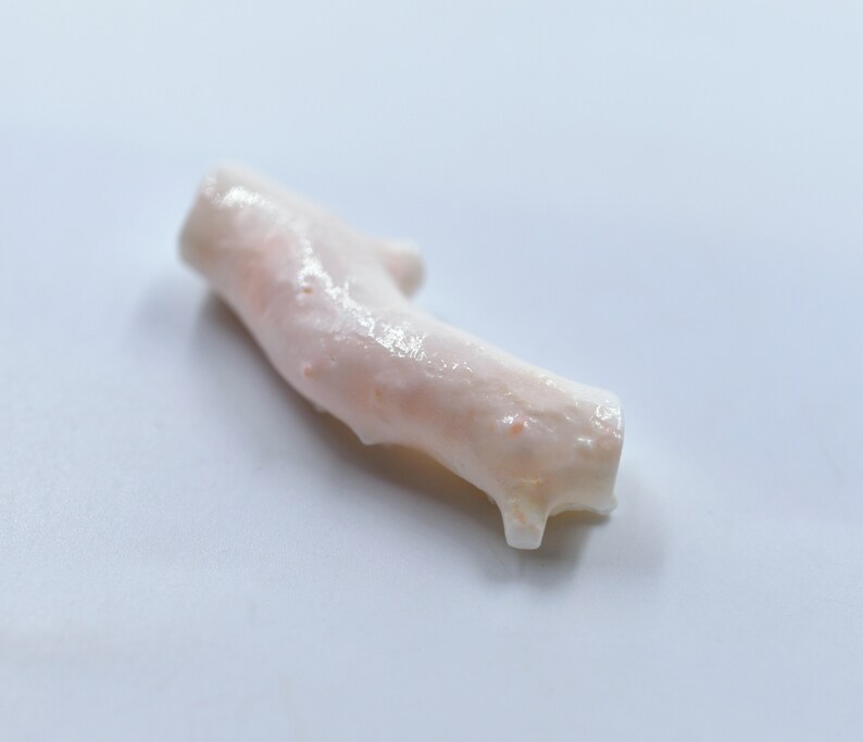May include: A pale pink coral branch with a smooth, polished surface. The coral has a natural, organic shape and is a beautiful example of this type of marine life.