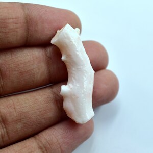 May include: A pale pink coral branch with a rough, textured surface. The coral is shaped like a curved branch with a small knob at the end.