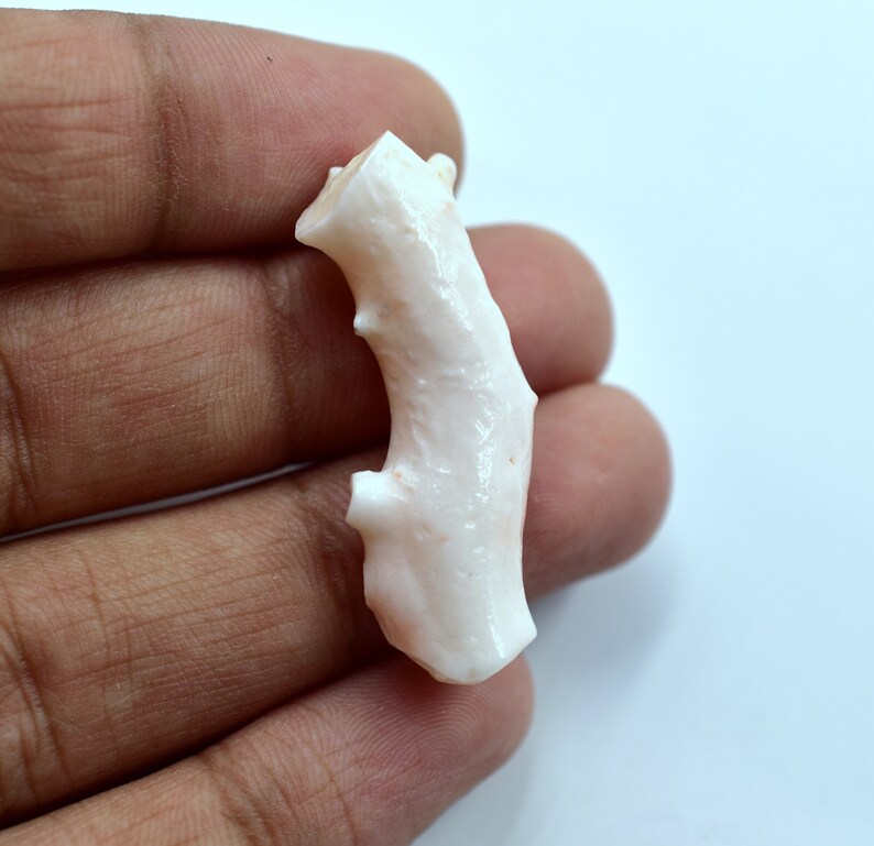 May include: A pale pink coral branch with a rough, textured surface. The coral is shaped like a curved branch with a small knob at the end.