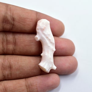 May include: A white coral branch with a natural, organic shape. The coral has a smooth, polished surface and a delicate, intricate texture.
