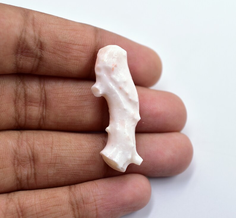 May include: A white coral branch with a natural, organic shape. The coral has a smooth, polished surface and a delicate, intricate texture.