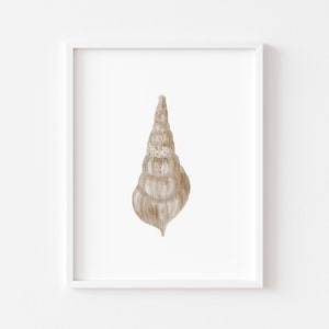 Conch Shell Printable, Coastal wall art, bathroom decor, kitchen wall art, beach house wall decor, seashell wall art, housewarming gift