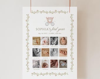 pink princess 12 months milestone board baby girl first birthday photo sign