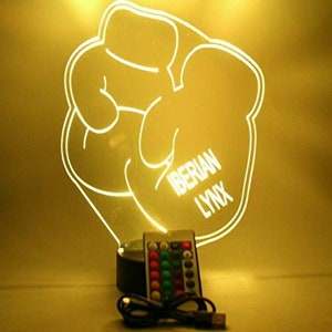 Boxing Gloves Pugilism Fisticuffs Packing Tilling Prizefighting Fighting The Ring Sports Night Light Table Lamp LED Personalized With Remote