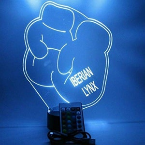 Boxing Gloves Sports Night Light Up Table Desk Lamp LED Personalized Free Engraved Custom Name, It&#39;s Wow, With Remote, 16 Colors, Great Gift