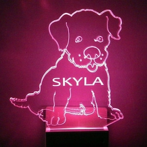 May include: A white outline of a puppy with the name "Skyla" written on its chest. The outline is illuminated with a pink light.