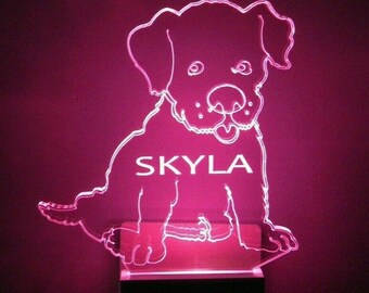 May include: A white outline of a puppy with the name "Skyla" written on its chest. The outline is illuminated with a pink light.