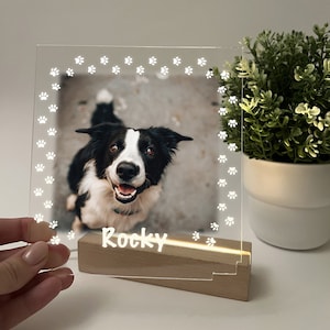 May include: A clear acrylic photo frame with a white paw print border. The frame has a built-in LED light and a wooden base. A photo of a black and white dog is in the frame. The name "Rocky" is written on the base.