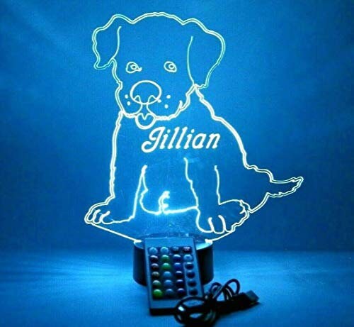 JSvsza Lampada da Tavolo - Corgi/Bassotto in Resina Colorata con Luce Calda 3000K - Decorazione Vintage per Camera da Letto e Idea Regalo per Amanti Cani, Boxer