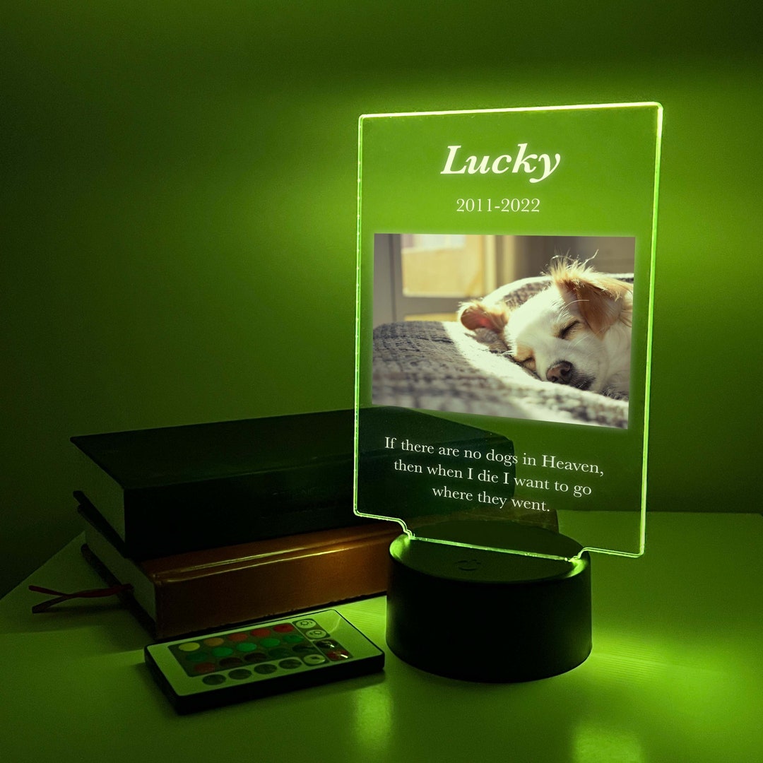 Custom Personalized Photo LED Night Light up Pet Owner Dog Cat in ...