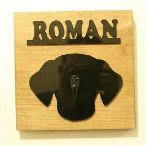 Personalized Wooden Dog Leash Hangers Custom Leash Holder Puppy Pet Hook Name Head Face Sign Wall Organizer Décor, Animal Love, A Must Have!