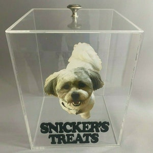 Peut inclure: Boîte en acrylique transparente avec un bouton argenté sur le couvercle. Un chien blanc aux yeux noirs est sur le devant de la boîte. Le texte "SNICKER'S TREATS" est imprimé en lettres noires sur le devant de la boîte.