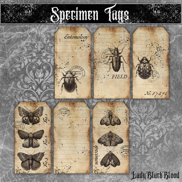 Specimen Tags for Junk Journals, Moths,Bugs, Beetles, Specimens, Gothic Junk Journal, Gothic Vintage Tags