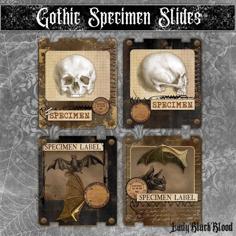 Gothic Specimen Slides for Junk Journals, Skulls & Batwings, Specimen ...