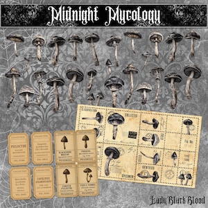 May include: A detailed illustration featuring a variety of mushroom drawings and labels, with the title "Midnight Mycology". The image has a vintage style, with a focus on botanical and scientific themes.