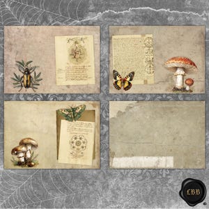 Puede incluir: Un collage de estilo vintage con ilustraciones de escarabajos, mariposas y setas sobre papel envejecido. El fondo es gris con un dise&ntilde;o de telara&ntilde;a. El collage incluye escritura a mano y sellos decorativos.