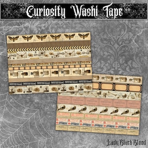 May include: Washi tape rolls with a vintage gothic theme. Designs include butterflies, skulls, potion bottles, and anatomical illustrations. The text "Curiosity Washi Tape" is displayed at the top. Ideal for scrapbooking and crafts.