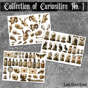 Puede incluir: Tres hojas de pegatinas con ilustraciones vintage de calaveras, huesos, insectos y especímenes en frascos. La hoja superior tiene varias calaveras de animales. La hoja del medio tiene especímenes en cúpulas de vidrio. La hoja inferior tiene botellas y sobres. El texto "Collection of Curiosities No. 1" está arriba.