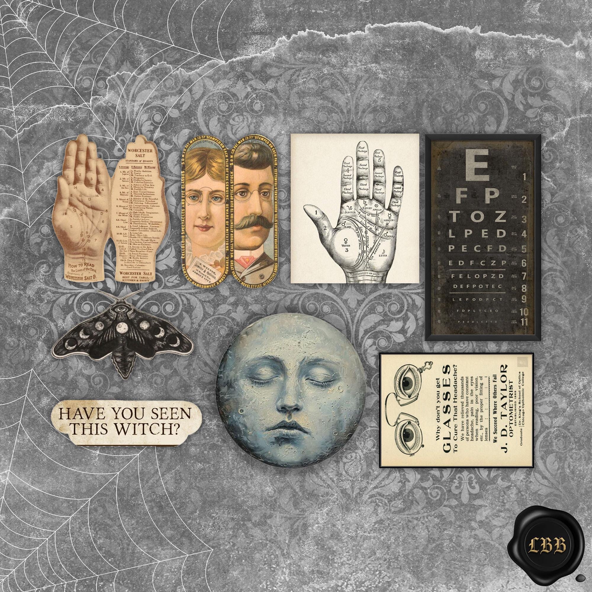 Collection of Curiosities No. 2 | 59 Macabre Elements | Oddities ...