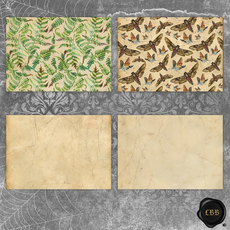 May include: Four rectangular designs on a textured background. Two feature patterns: one with green ferns, the other with brown moths. The other two are aged paper. The background is gray with a spiderweb and floral design.