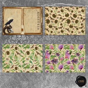 May include: A collection of vintage-style stationery and patterned papers. One piece features a raven perched on a ram skull next to an open book. Other papers display fern, moth, and orchid patterns in green, brown, and purple.