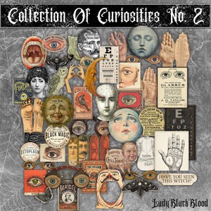 Puede incluir: Un collage vintage con ilustraciones anatómicas, tablas optométricas y anuncios, con un tema gótico. El texto "Collection Of Curiosities No. 2" está en la parte superior, con otros fragmentos de texto como "Have you seen this witch?" y "Lady Black Blood".