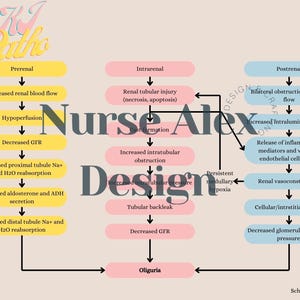 Renal Cheat Sheet