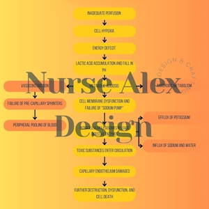 May include: A yellow and orange diagram illustrating the stages of shock, starting with inadequate perfusion and ending with cell death. The diagram includes terms like "vasoconstriction", "metabolic acidosis", "anaerobic metabolism", and "efflux of potassium".