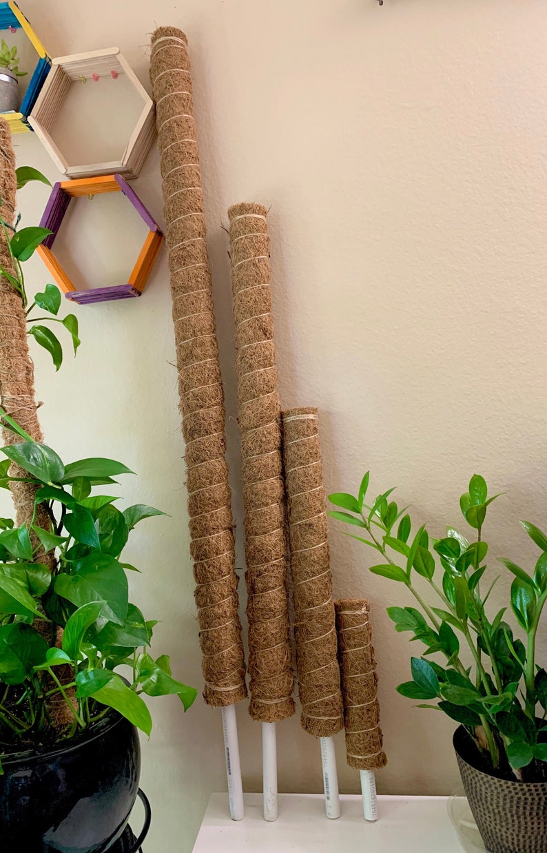 Diy Moss Pole Reddit / overview for FBones 18, june 2020 • blog • diy